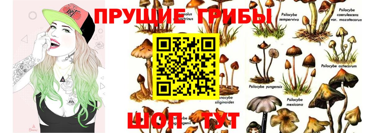 Галлюциногенные грибы мухоморы Знаменск