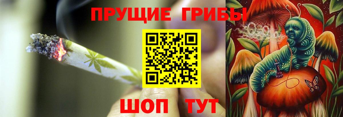 Знаменск  купить наркотик  Вход с VPN  Галлюциногенные грибы ЛСД  Псилоцибиновые грибы Magic Shrooms 
